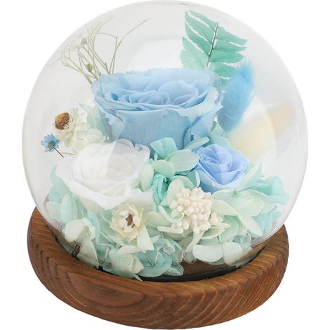 Fleur éternelle dans un dôme en verre, lumière LED romantique et exquise, Type 3 préservé (1/2)