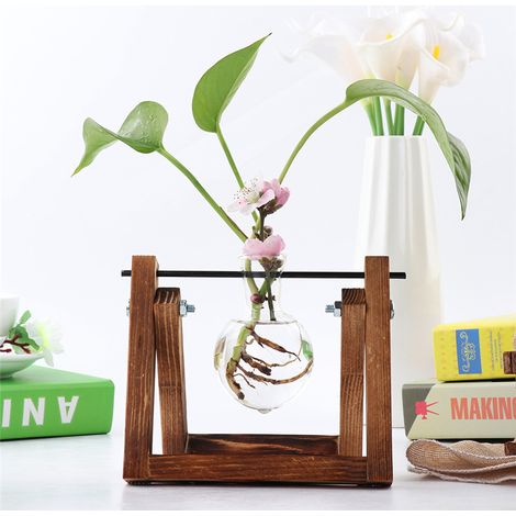 Vase vintage en verre transparent pour plantes hydroponiques avec support en bois, idéal pour la décoration de table. (1/5)