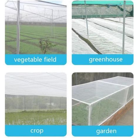 Filet Anti Oiseaux - Maille 1 mm - Protection Cultures Jardin Serre Agricole - PE Résistant UV - 10 x 2,5 m (1/4)