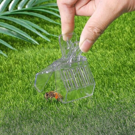 Bee Queen Catcher Clip per gabbia in plastica per ape regina Strumenti per apicoltura 5 pezzi (1/3)