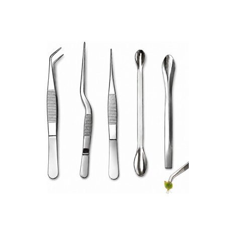 Lot de 2 x 5 Pièces Pincettes de Jardin en Inox, Soin des Plantes et Succulentes, Manipulation Aquarium et Alimentation, Outil de Précision (1/5)