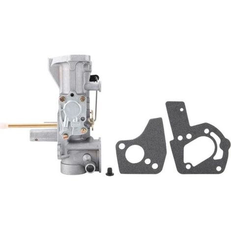 Carburateur pour Briggs & Stratton 498298 130202 112202 112232 134202 137202 5Hp – Remplace les modèles 495426 et 692784 – Métal durable