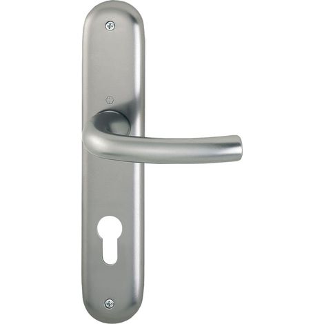 Poignée de porte serrure à gorges à enlèvement sur plaque longue, 2947425 (1/4)
