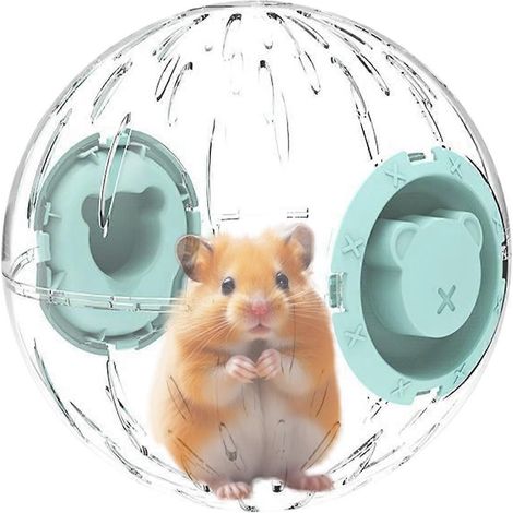 Balle d'exercice pour hamster, jouet transparent pour animaux de compagnie, roue sûre et stable (1/5)
