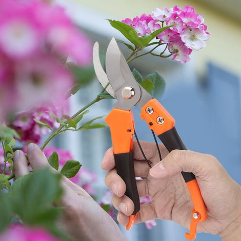 Ciseaux de Jardin 8 Pouces pour Taille et Élagage - Idéal pour le Jardinage et l'Entretien des Plantes - KZQ