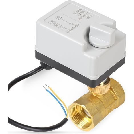 Vanne Motorisee 2 Voies avec Fonction Manuelle, DN25 1 de Pouce AC220V Vanne de Zone Laiton (1/5)