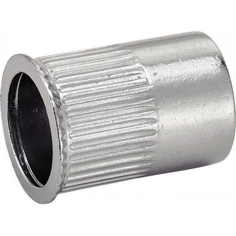 Boite de 50 écrou cranté à sertir tête affleurante inox A2 - M6 - 626336 (1/3)