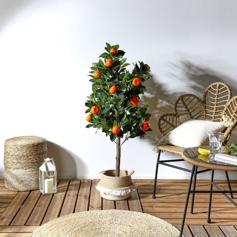 Plante Artificielle - HOME DECO FACTORY - Oranger - Naturel - Vert et Marron