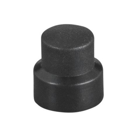 Bouton 185124 ROH