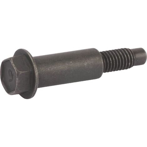 Vite BRIGGS ET STRATTON 590586
