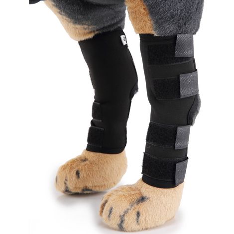 Attelle pour fracture osseuse, boîte de protection pour chien, restauration orthopédique, bandage articulaire, protection des pattes avant et arrière