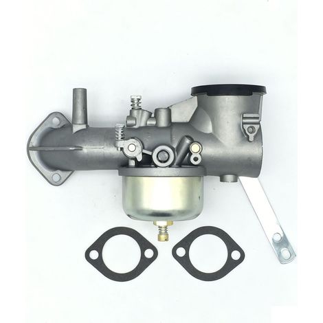 Carburateur compatible références 491026 491031 490499 281707 (1/5)