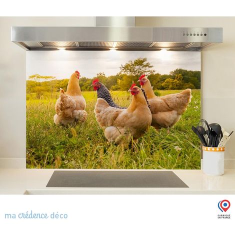 Fond de hotte : Poules - Alu composite - 70 cm - 60 cm (1/5)