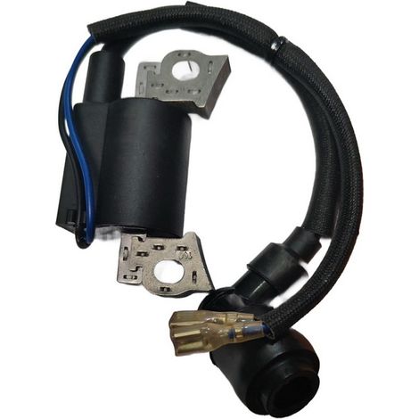 Modulo Ignicion compatible con Motor Nh150 Ref 978065