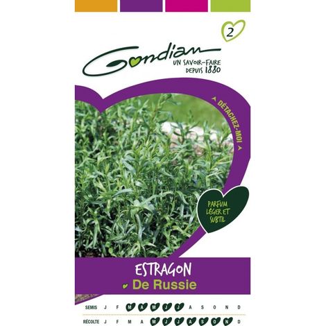 Gondian - Estragon de Russie