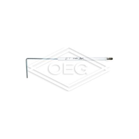 Electrode d'ionisation