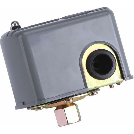 Druckschalter, 40-60 PSI Wasserpumpen-Druckregler, verstellbarer Doppelfederbolzen, 110-230 V selbstansaugende Einspritz-Gartenwasserpumpe (1/5)