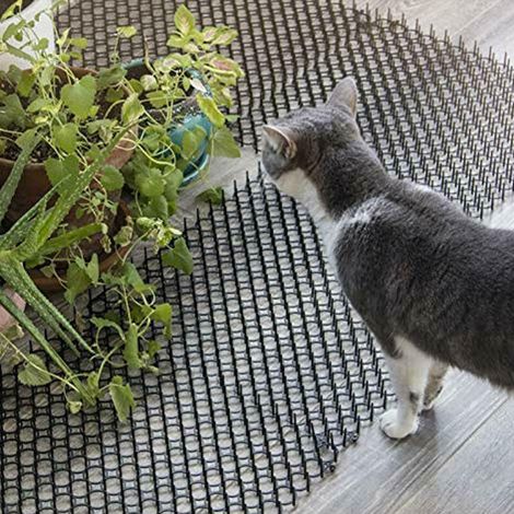 Jardin piscine Anti-nuisible 10 pièces tapis répulsifs + 10 pièces en forme de U ongles jardin bande de piquant creuser arrêt chat chien répulsif tapis dissuasif pic fournitures de jardin, 20 pièces - (1/5)