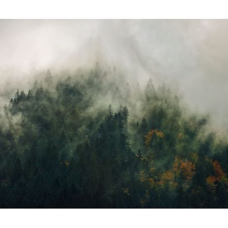Papier peint panoramique naturel Contes des Carpates (1/4)