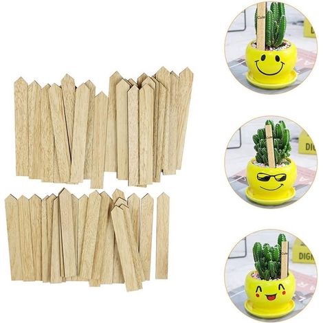 Lot de 50 étiquettes pour plantes en bambou avec fiches tuteurs et panneaux pour potager jardin herbes aromatiques fleurs semis et plantations (1/4)