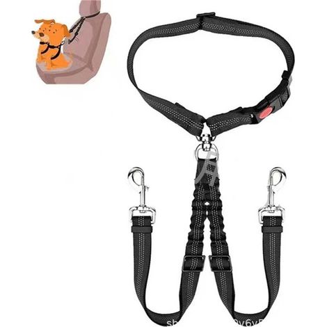 Laisse de sécurité double pour chien : Réglable et réfléchissante pour deux animaux (1/3)