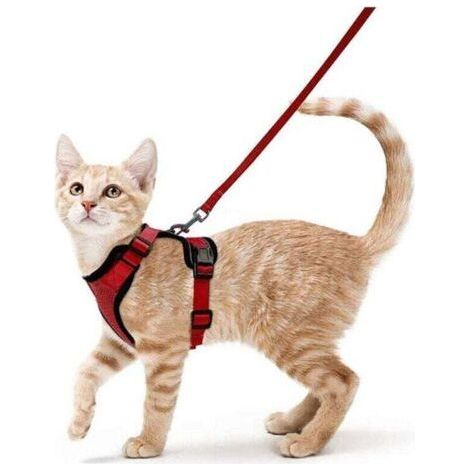 Harnais Chat Petit Chien Laisse Harnais Chaton Réglable Rouge Collier Harnai Chat Refléchissant Gilet Respirant pour Lapin, Chat Européen, Maine Coon, Persan, Attache Dessus avec Laisse(XS -rouge--TRI (1/5)