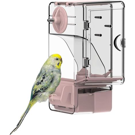 Mangeoire Automatique pour Oiseaux, mangeoire à Cage à Oiseaux avec perchoir Support Multifonctionnel pour Fruits et légumes pour perruches, canaris, calopsittes, pinsons (Rose) (1/4)