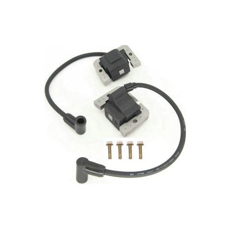 Kit de encendido S-giant de 6 bobinas compatible con 24 584 01-S, 24-584-04-S, 24 584 45-S, con tornillos. (1/2)