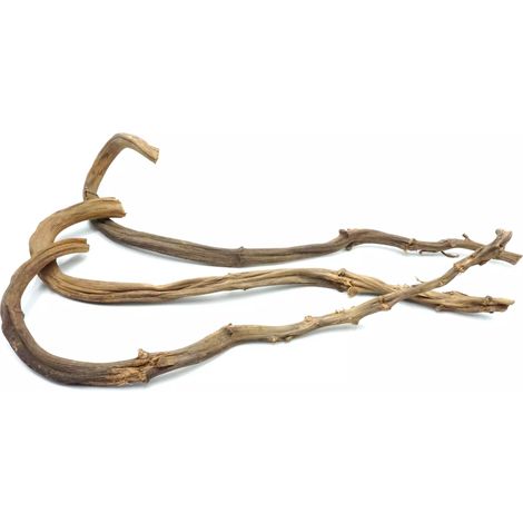 Liane naturelle de bananier pour tous les perroquets 60-70 cm