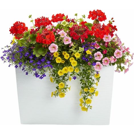 Vaso da fiori Bloom Riflo bianco, altezza 36,2x56,1 cm