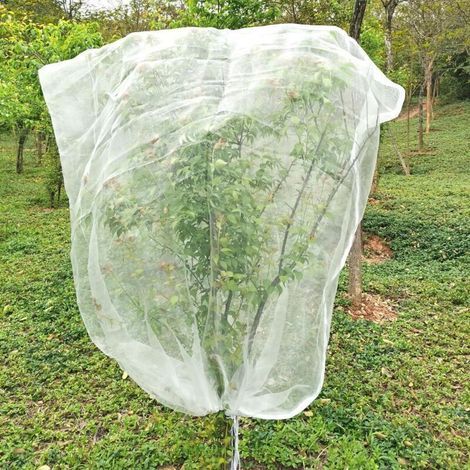Filet Anti-Insectes et Anti-Oiseaux pour Arbres Fruitiers – 2 m x 2,4 m, Maille Fine avec Cordon de Serrage pour Protection Optimale (1/5)