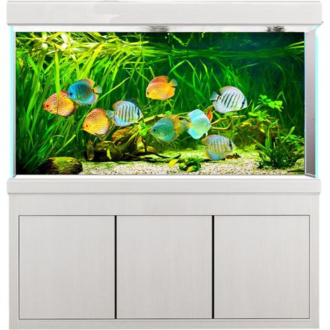 1 Autocollant Fond Aquarium Poissons Plantes PVC Imperméable Décoration Réservoir (1/5)
