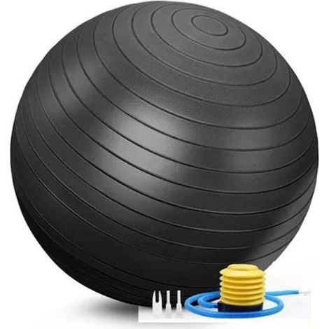 Diameter 65cm PVC Fitness Balls Yoga Ball Thickened Explosion-proof Exercise Home Gym Pilates Equipment Balance Ball BALLON SUISSE (1/4)