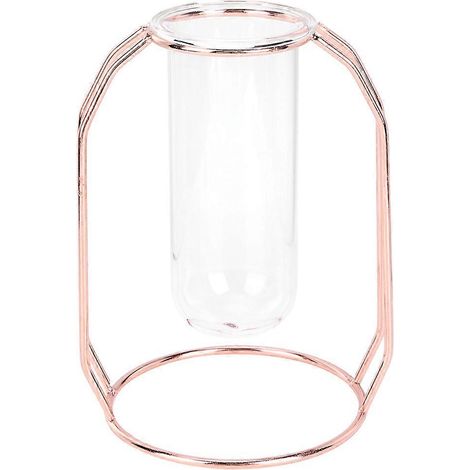 Vases Transparents pour Plantes Hydroponiques, Pots à Fleurs de Table, Décor Maison Moderne (1/5)