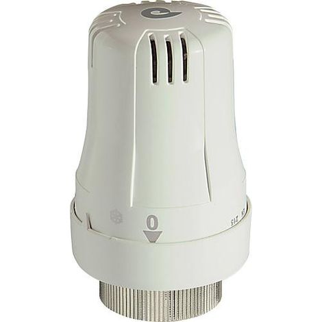 Tete thermostatique avec sonde