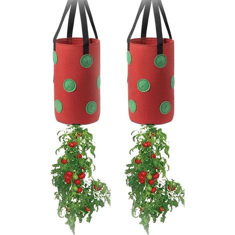 2 sacchetti per fragole a 13 fori con fori sul fondo, sacchetti per la semina da appendere, capacità 3 galloni, 20 cm  35 cm / 7,8 pollici  13,7 pollici