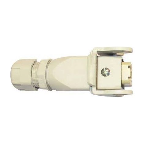PRESA COGLIOLIVE OLIVGREEN A3 MINELLI