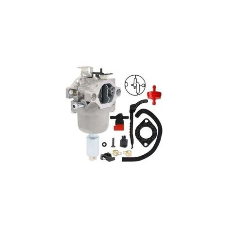 799727 Carburateur pour Briggs & Stratton 14hp 15hp 16hp 17hp 18hp Carb (1/5)