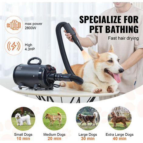 Séchoir chien 2000W/2.7HP, soufflerie animal avec chaleur réglable 85-135°F, vent 70m/s, 4 embouts et tuyau extensible, noir (1/5)