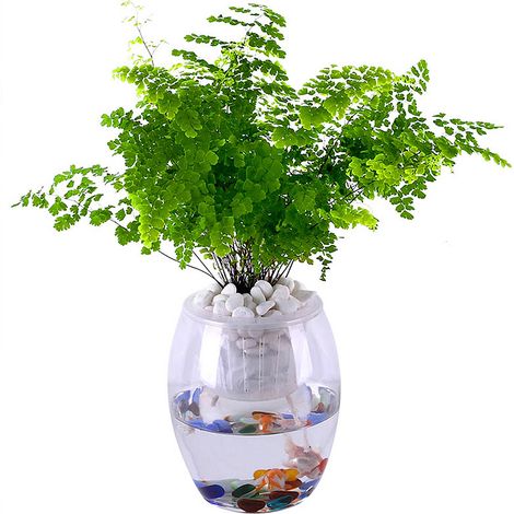 Mèche d'arrosage automatique en coton 5mm x 50m blanche pour plantes, système irrigation goutte-à-goutte DIY vacances (1/5)