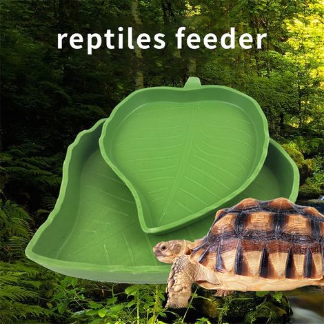 2 bols feuilles pour reptiles, assiette eau nourriture tortue serpent ramper, gamelle boire manger animaux (1/5)