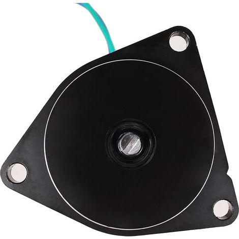 Hubmotor für Yamaha 6G5-43880-00 6G5-43880-01 Yacht-Außenbordmotor (1/3)