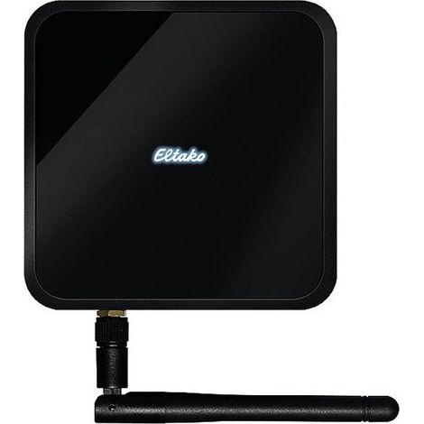 Controller eltako minisafe2-reg controllo app voce funzionamento offline