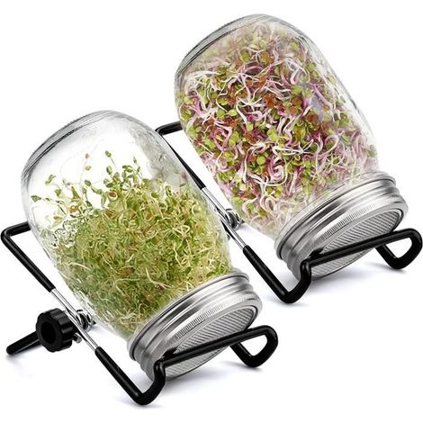 2 pièces germoir en verre 450 ml, bocal à graines avec couvercle grillagé en acier inoxydable et plateau de récupération d’eau, idéal pour pousses maison