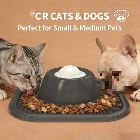 Practical, convenient, and creative slow-speed bowl for dogs.