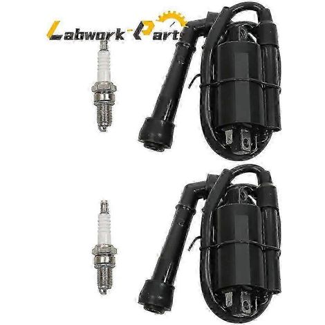 2 x Bobines d'allumage et bougies pour Suzuki Intruder VS700 VS750 VS800 1986-2004