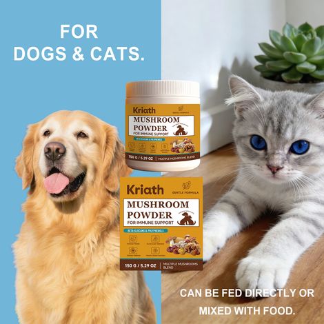 La poudre de champignons pour animaux est douce, pratique et convient à un usage quotidien pour les chats et les chiens, à la maison comme à l'extérieur. -- 150 g (1/5)