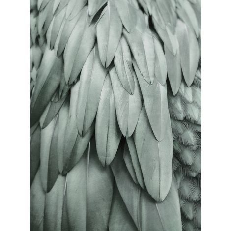 Papier peint panoramique tendance gris Tapisserie panoramique plumes pour chambre Papiers peints panoramiques modernes animaux (1/2)