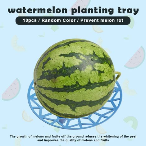 Set of 10 reusable supports for melons and squash, for plants and garden, preventing soil rot and protecting large stems. (1/5)