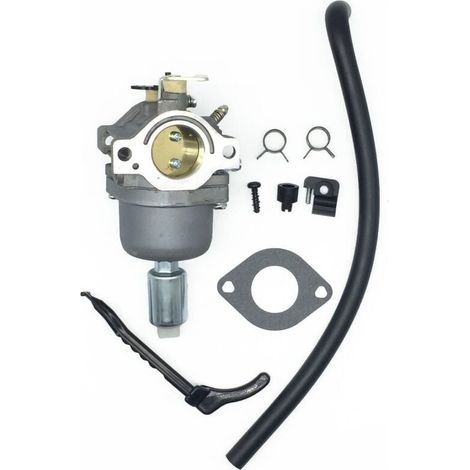 Carburateur pour moteurs Briggs & Stratton 287707 287776 287777 310707 310777 698620 690194 791886 799727 496796 499153 695412 792768 Remplacement du carburateur (1/4)